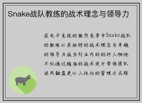 Snake战队教练的战术理念与领导力