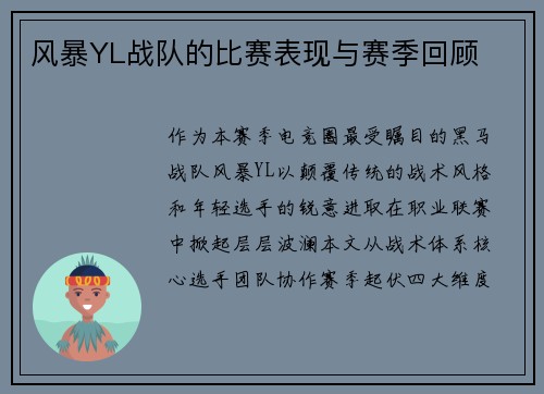 风暴YL战队的比赛表现与赛季回顾
